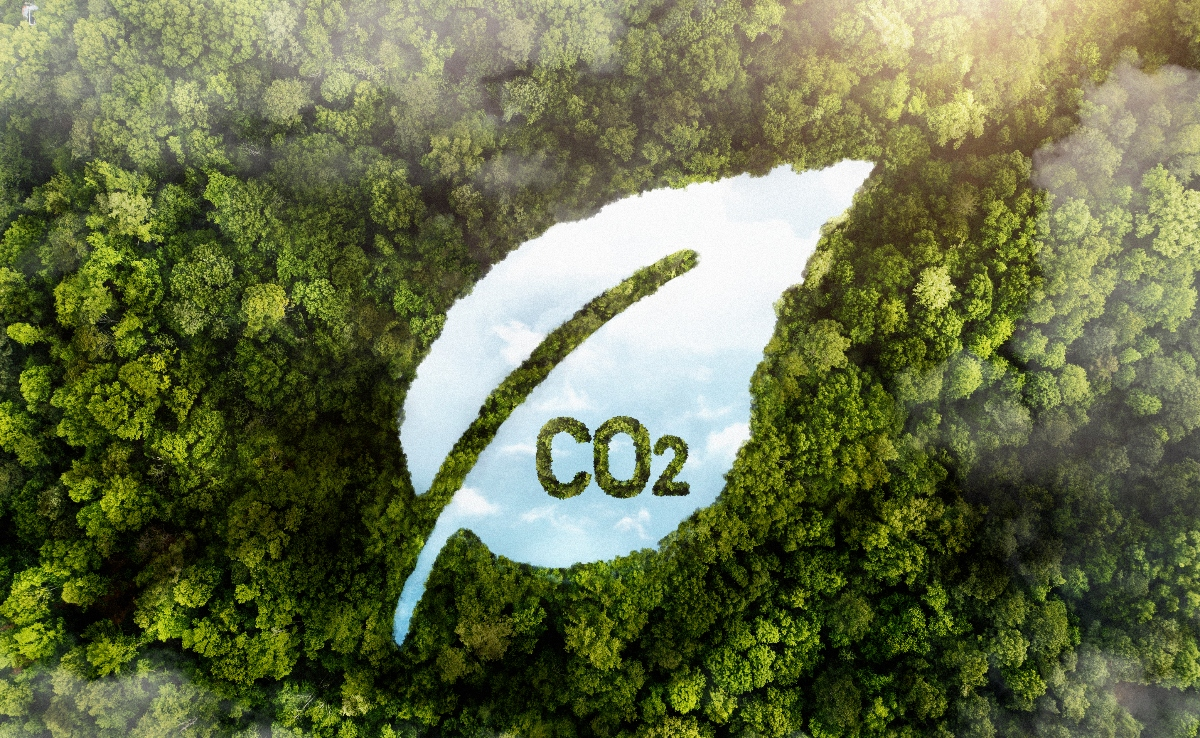 Redução de Pegada de Carbono