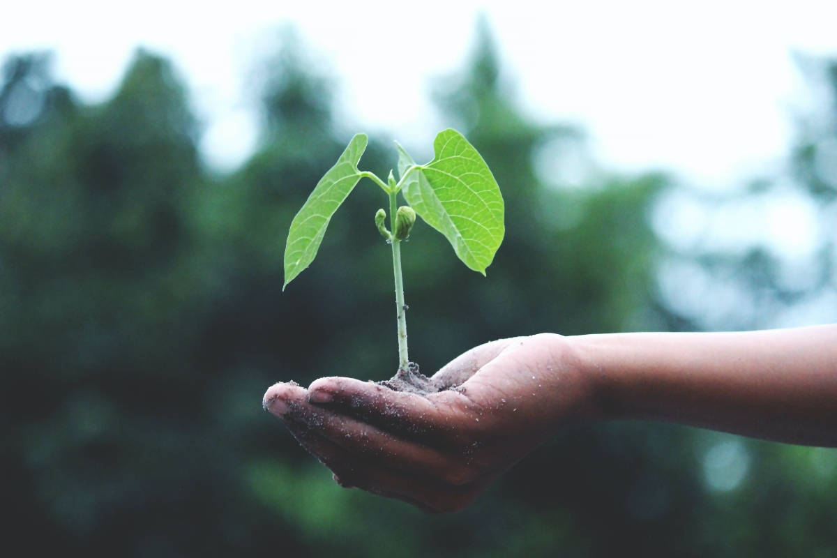 O que são as Greentechs?